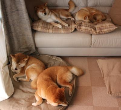 2026 欧洲足坛少帅退役转型潮:现代足球战术大师为何越来越年轻?